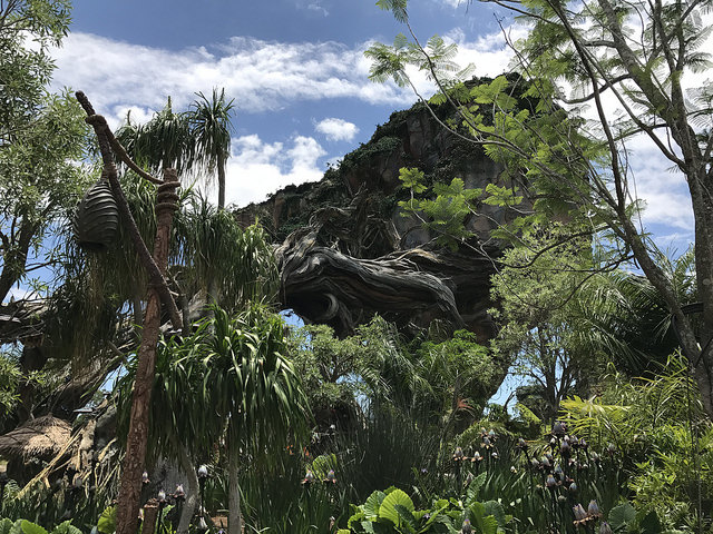 Travel | The World of Avatar at Disney’s Animal Kingdom