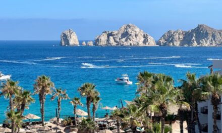 Travel | Navigating Cabo San Lucas: A Family’s Adventure and Tips